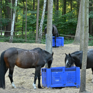 Dagelijkse verzorging