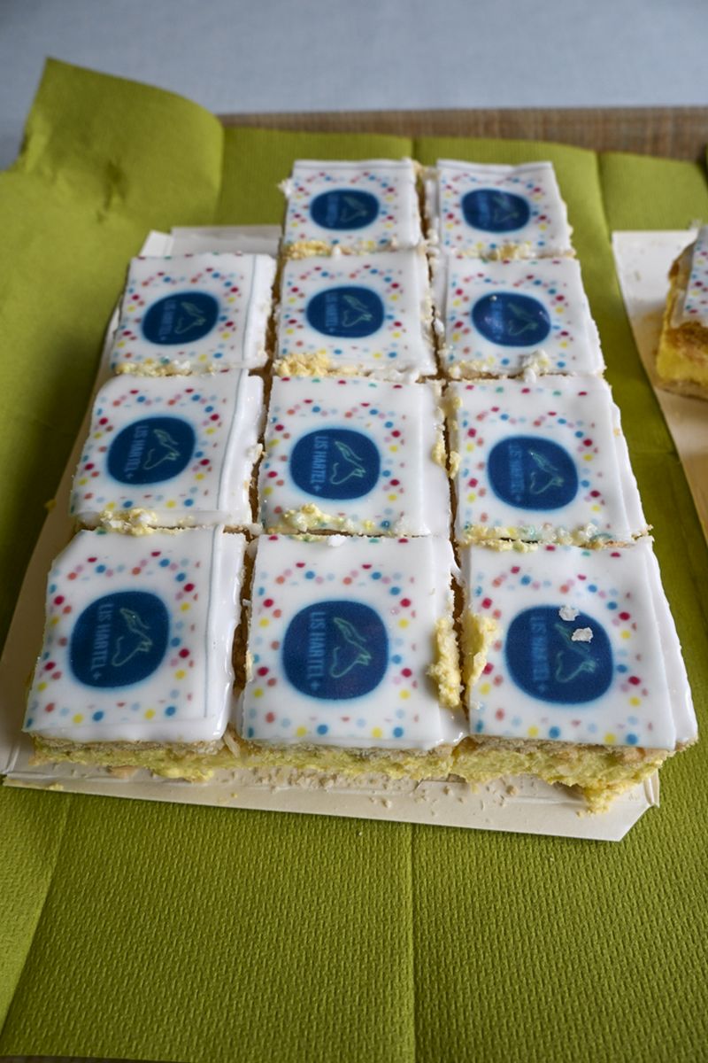 🎉 Jubileum 55 jaar Lis Hartel – wat een feest!